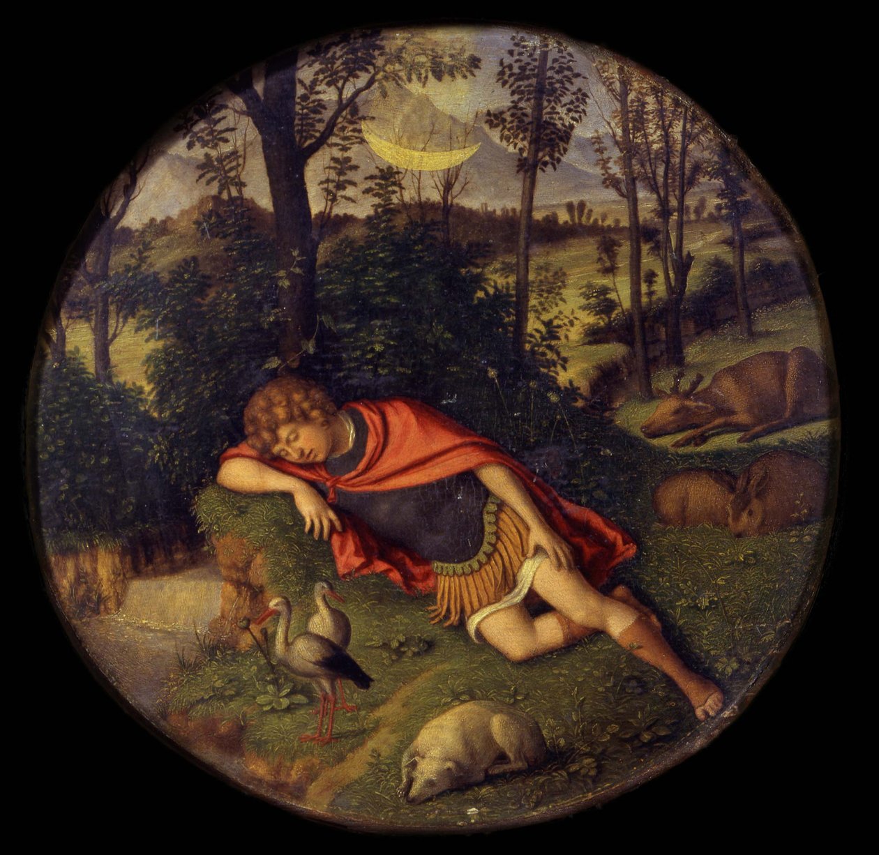 Sleeping Endymion, 1505-1508 av Giovanni Battista Cima da Conegliano