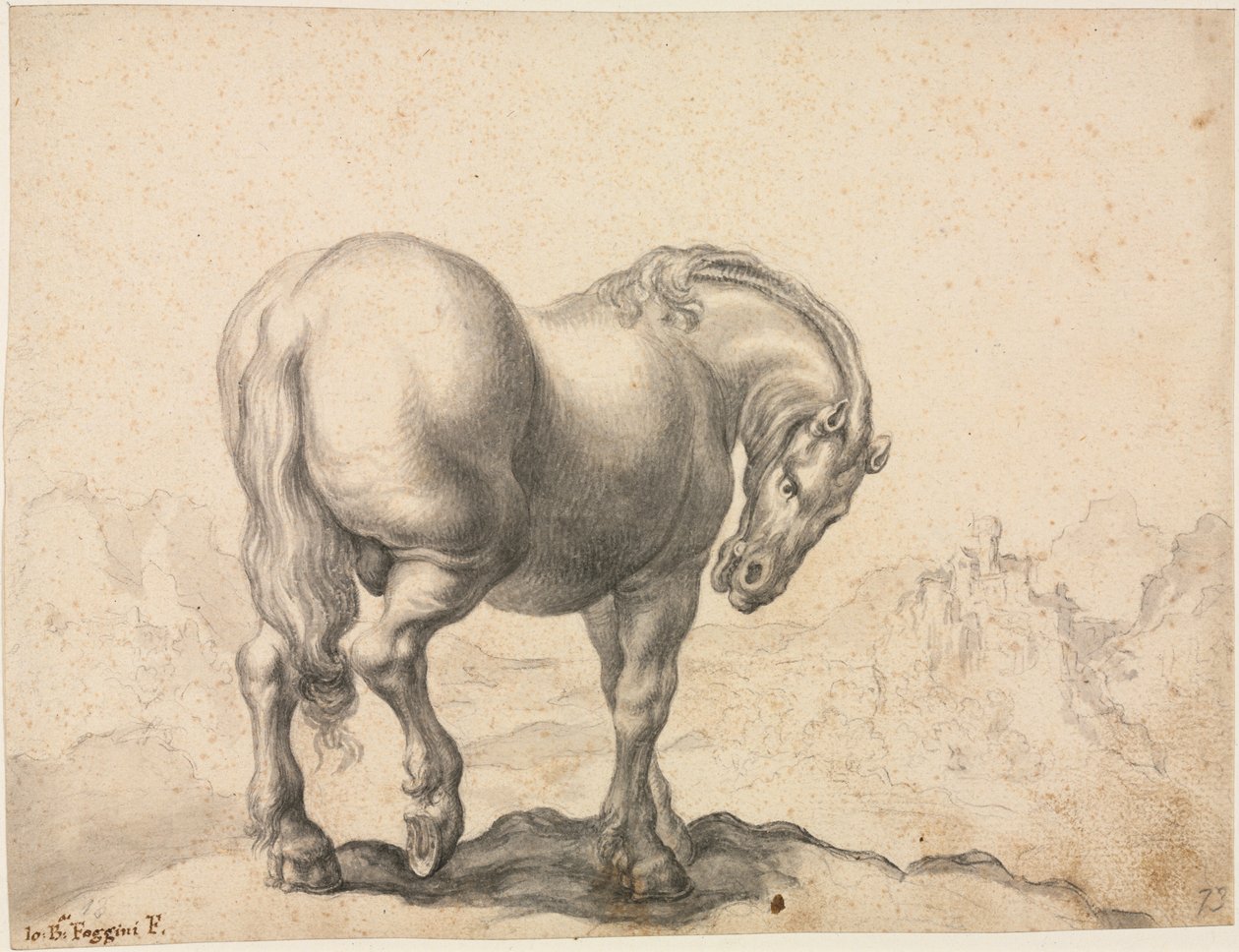 Studie av en hingst, första tredje 1700-talet. av Giovanni Battista Foggini