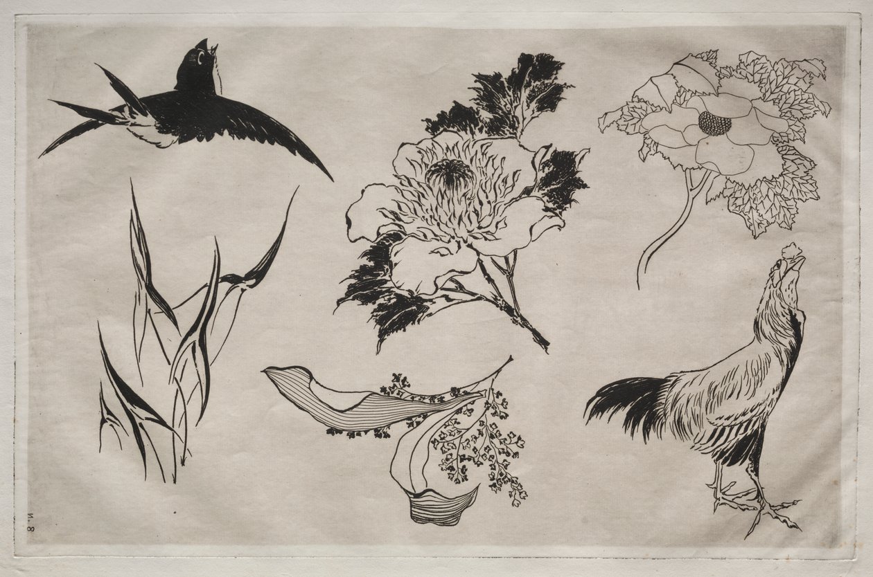 Middagsservering (Rousseau-servering): Svala, tupp och blommor (nr 8) av Giovanni Battista Piranesi