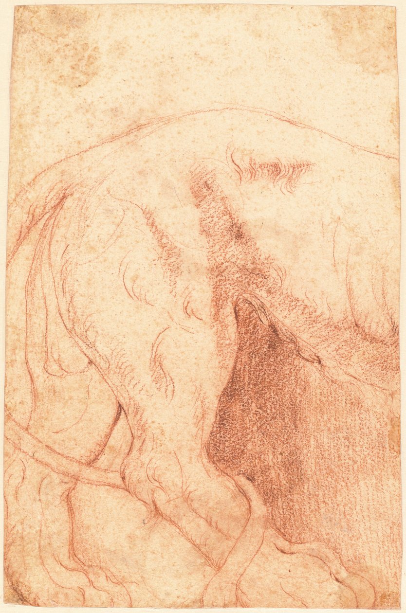 Fragment of a Lion Bas-Relief (verso) av Giovanni Battista Piranesi