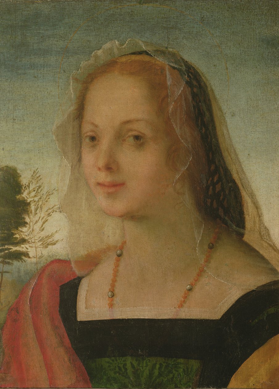 Porträtt av en ung flicka (tempera på panel) av Giovanni Battista Rosso Fiorentino