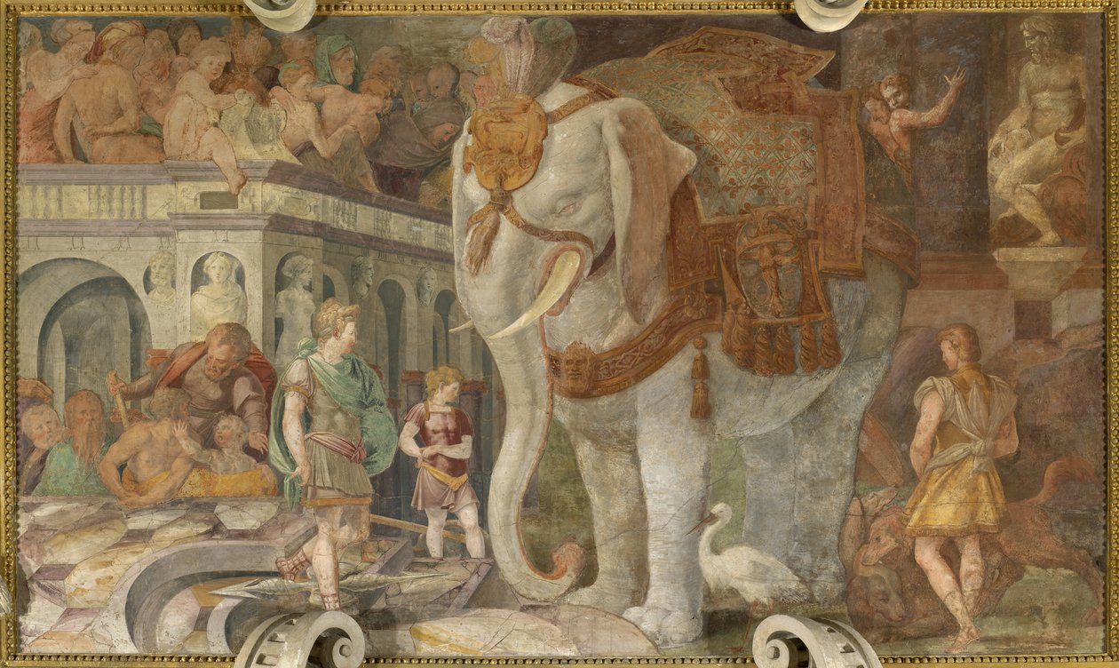 Den kungliga elefanten av Giovanni Battista Rosso Fiorentino