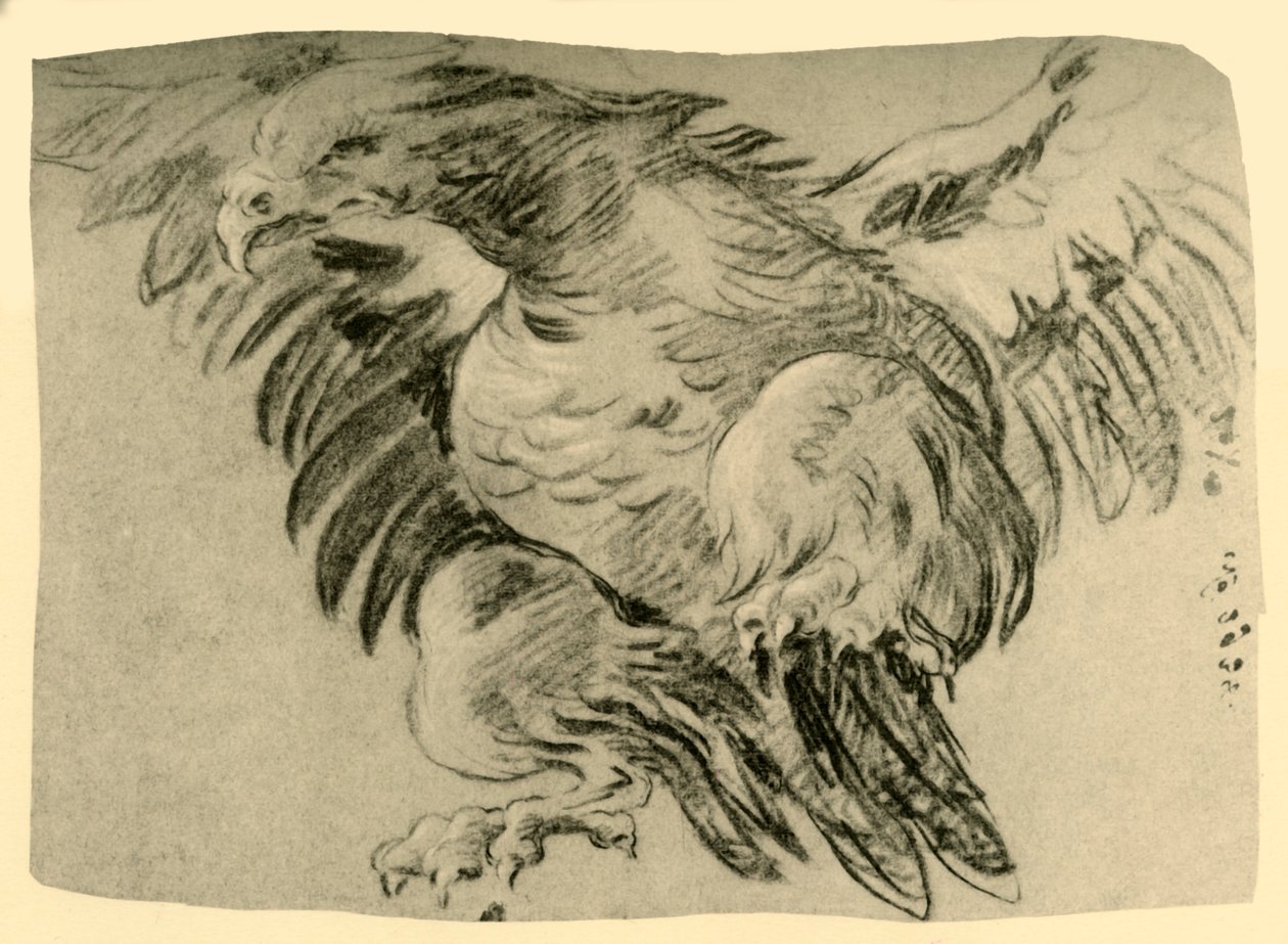 Örn, 1751-1752, 1928 av Giovanni Battista Tiepolo