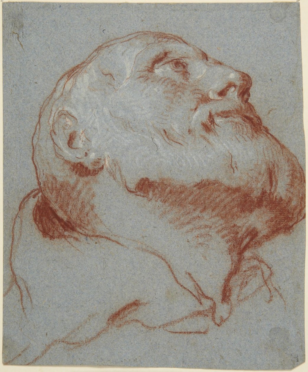 Huvud av en skäggig man, sett underifrån och blickande uppåt av Giovanni Battista Tiepolo