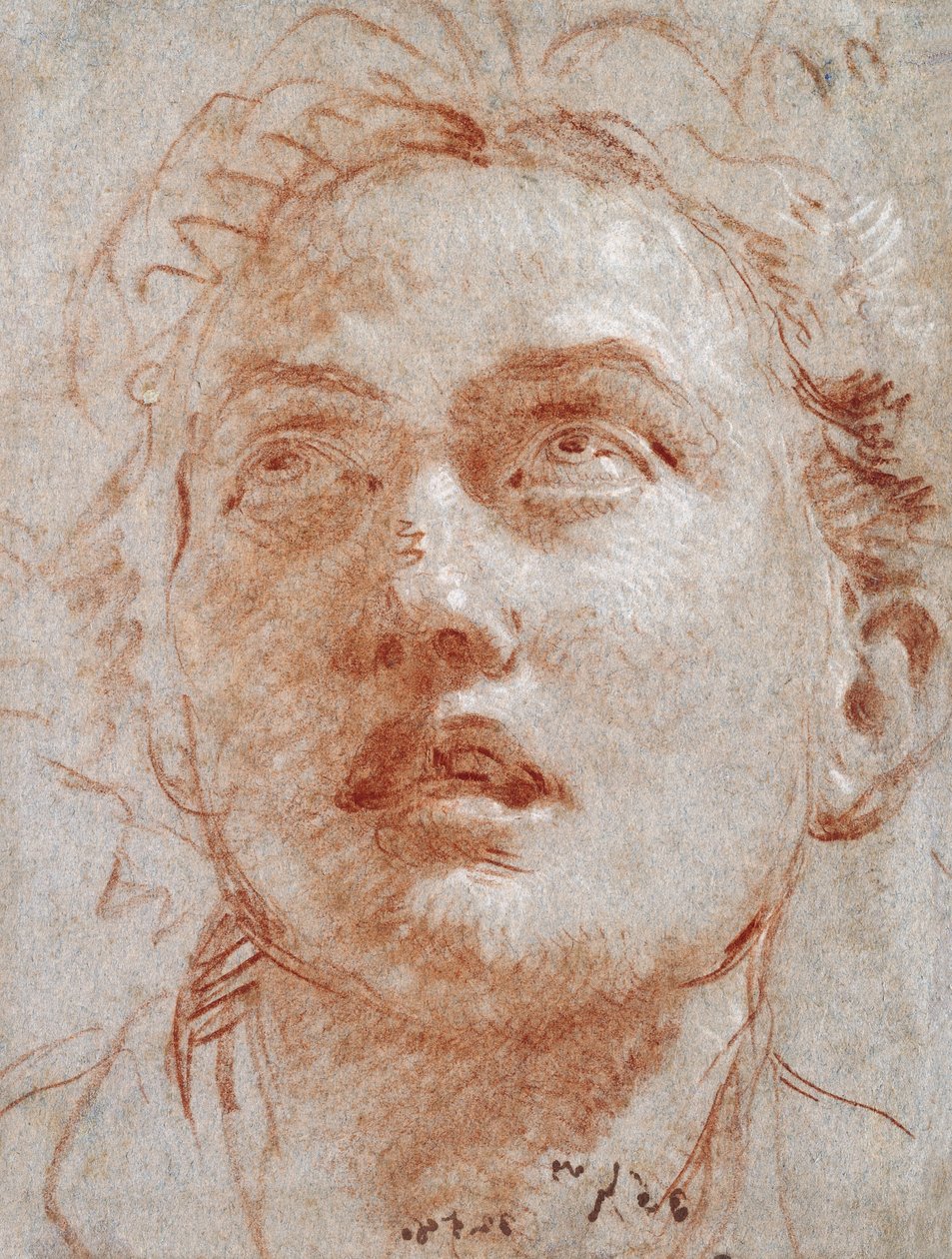 Huvudet på en man som tittar upp, av Giovanni Battista Tiepolo