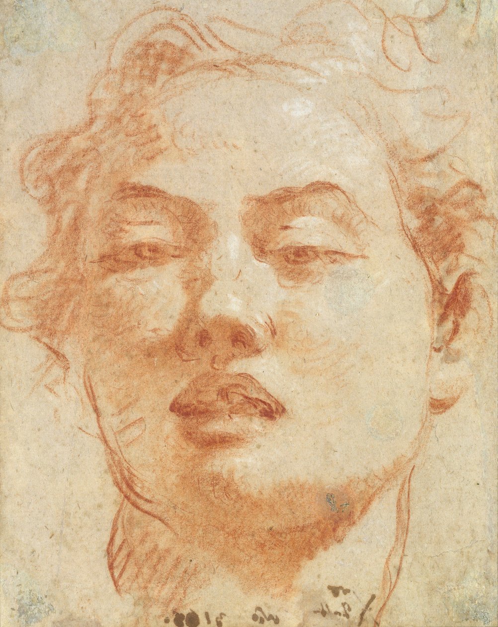 Huvudet på en ung man (röd och vit krita på papper) av Giovanni Battista Tiepolo