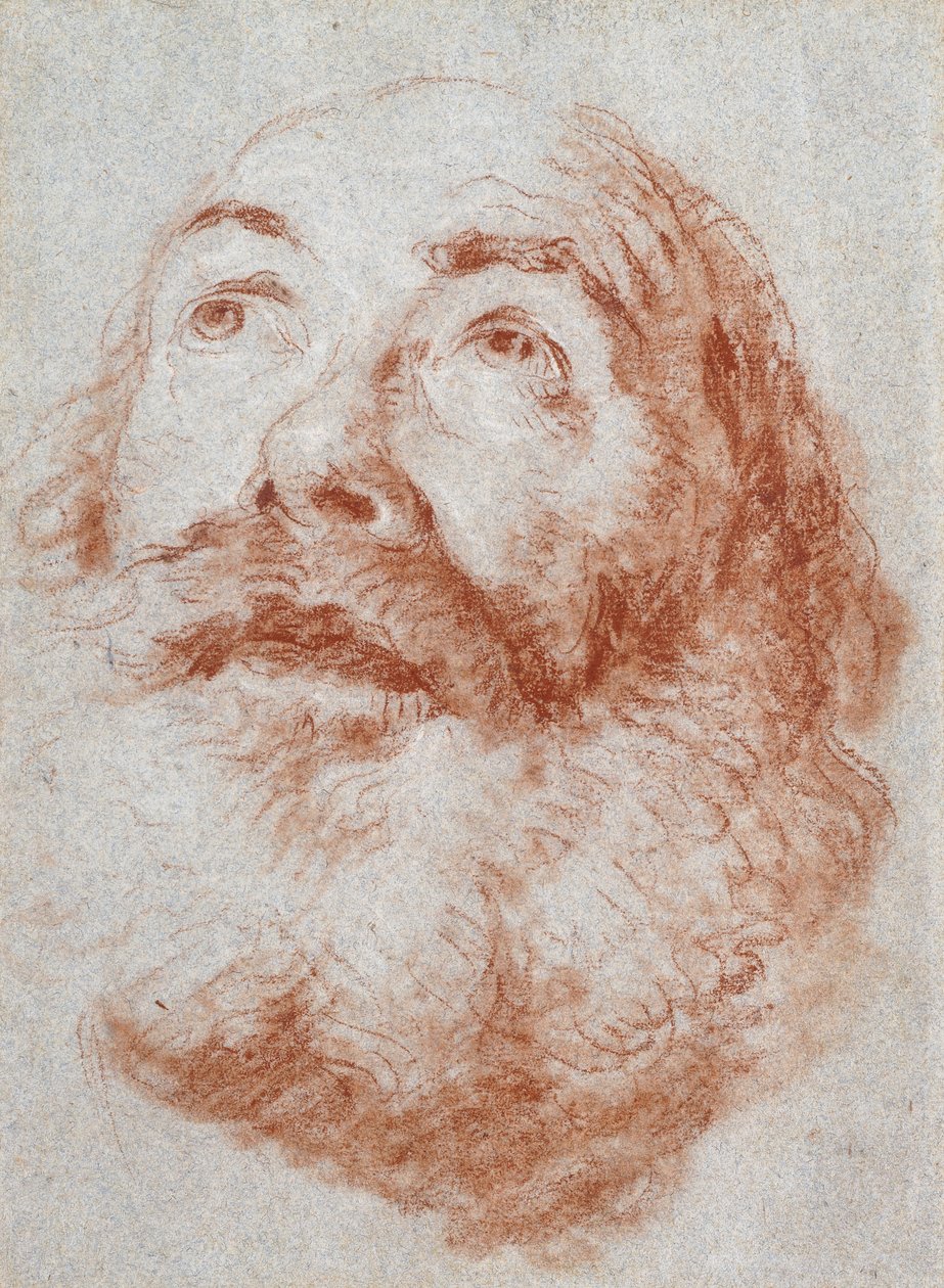Huvudet på en gammal man tittar upp, av Giovanni Battista Tiepolo