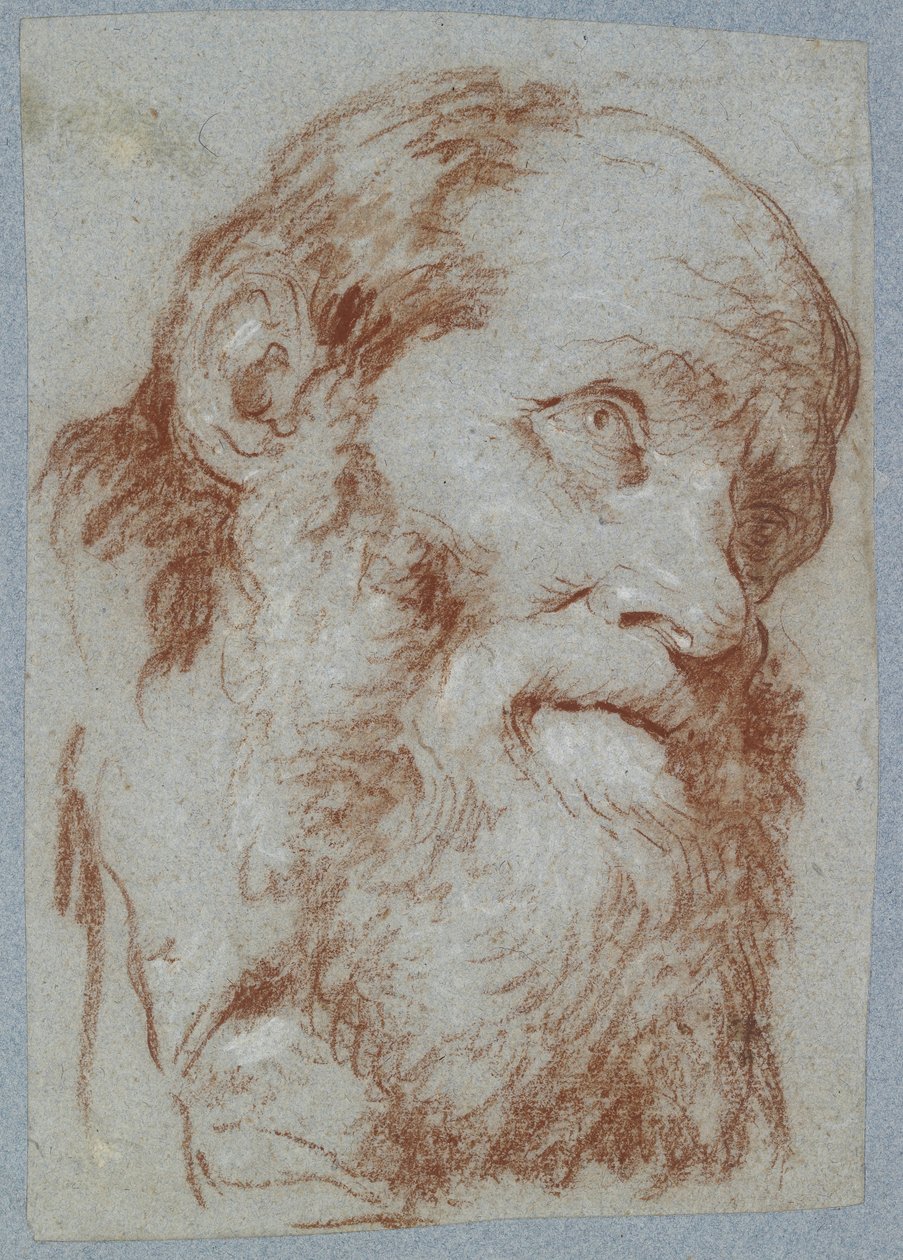 Huvud av en gammal skäggig man (röd krita, berörd med vitt, på blekt gråblått papper) av Giovanni Battista Tiepolo