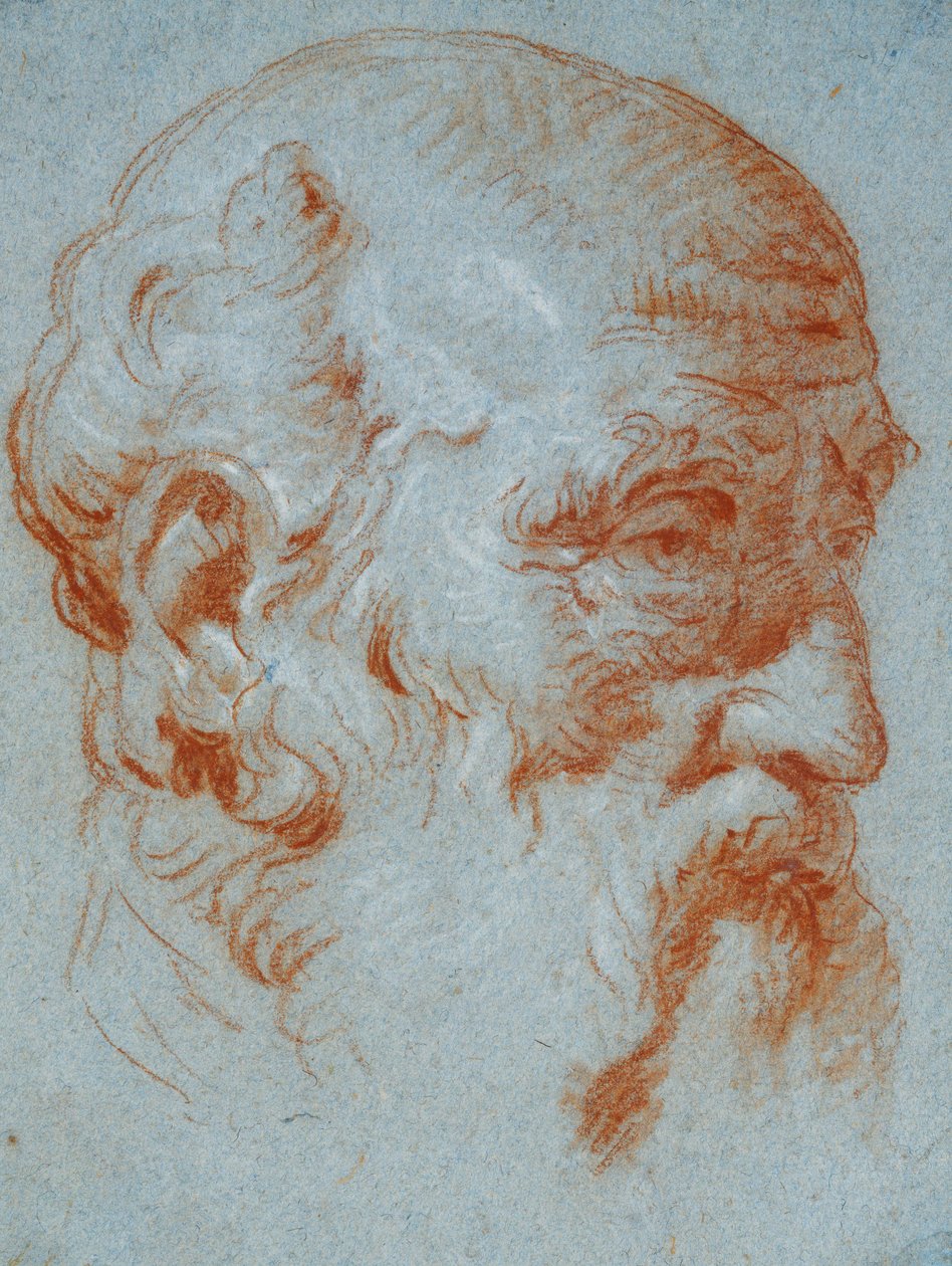 Studie av bysten av Giulio Contarini sett från vänster av Giovanni Battista Tiepolo