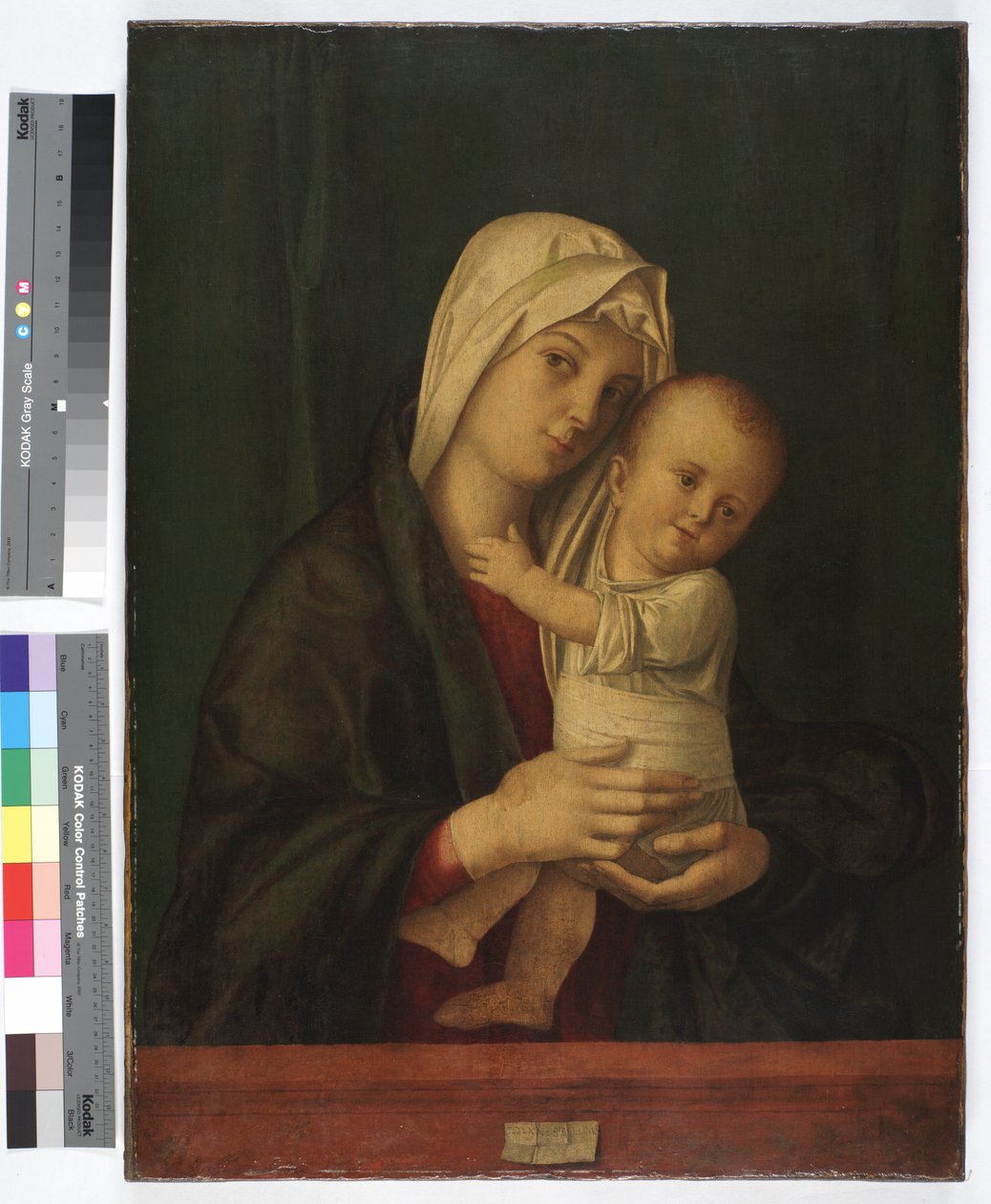 Madonna och barn, ca 1489 (olja på duk) av Giovanni Bellini