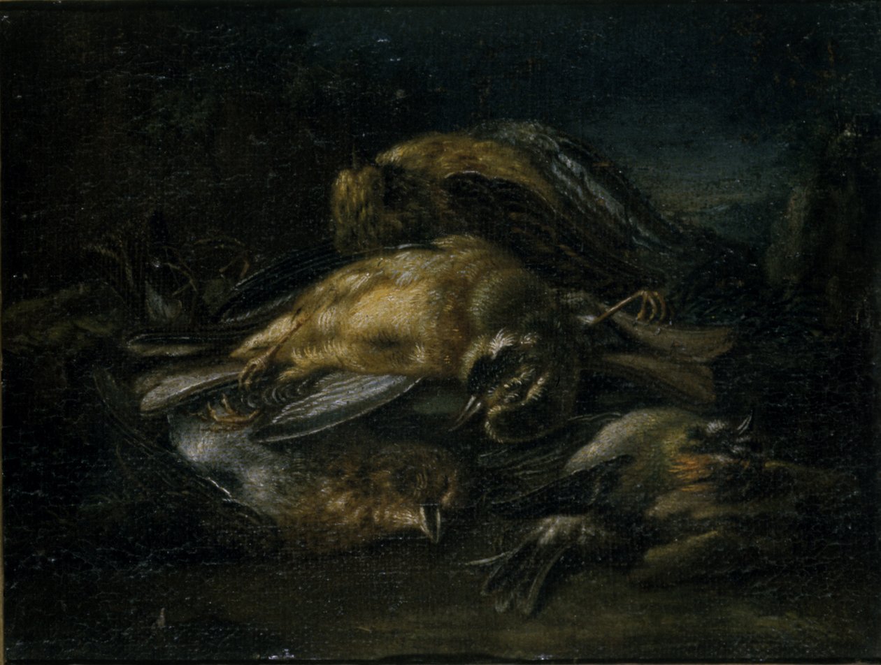 Död fågel, 1664 av Giovanni Benedetto Castiglione