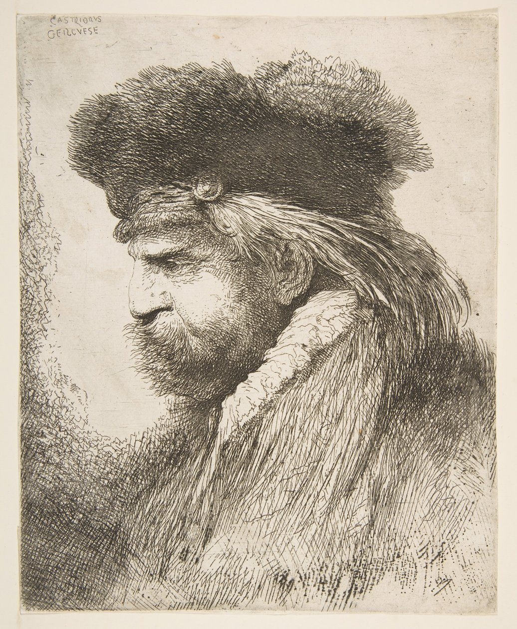 Huvudet på en gammal man vänd åt vänster, från serien Large Oriental Heads, ca. 1645-50. av Giovanni Benedetto Castiglione