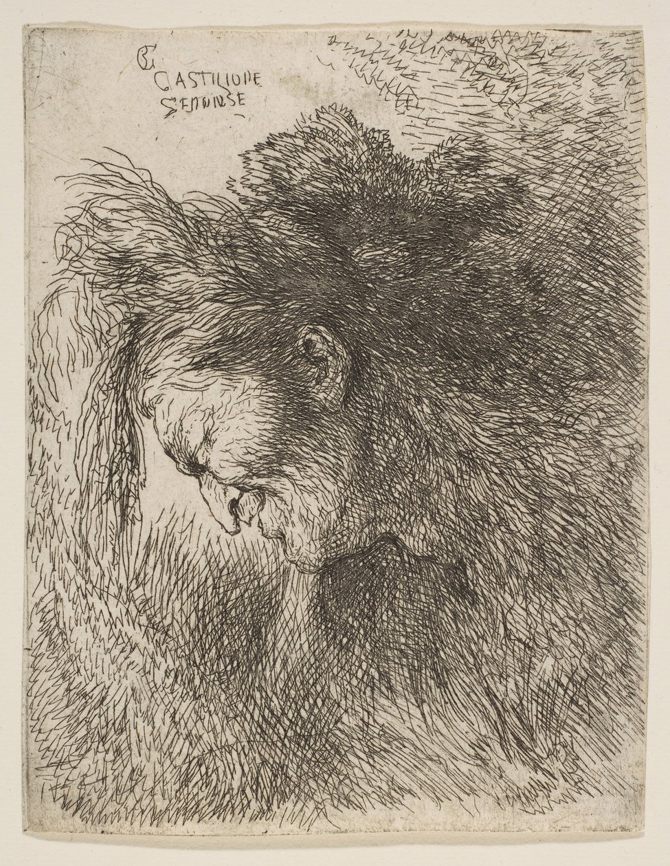 Huvudet på en gammal man som tittar ner, vänd mot vänster, från serien av små huvuden i ..., ca. 1645-1650. av Giovanni Benedetto Castiglione