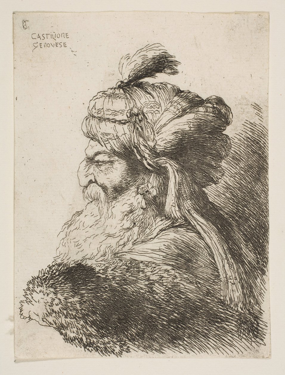 Huvudet på en gammal man med turban vänd åt vänster, från serien Small Heads i ..., ca. 1645-1650. av Giovanni Benedetto Castiglione