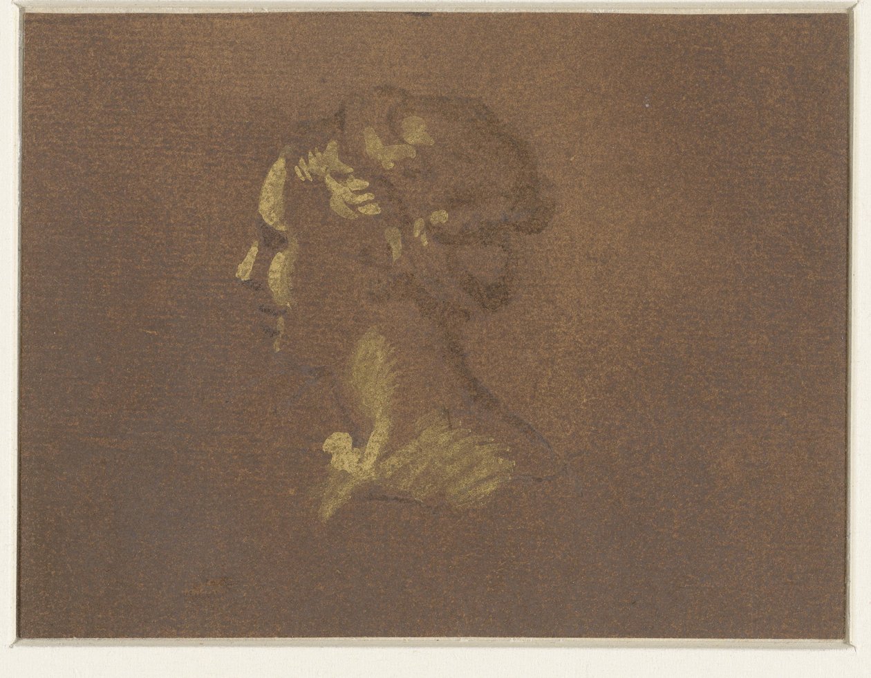flicka huvud av Giovanni Benedetto Castiglione