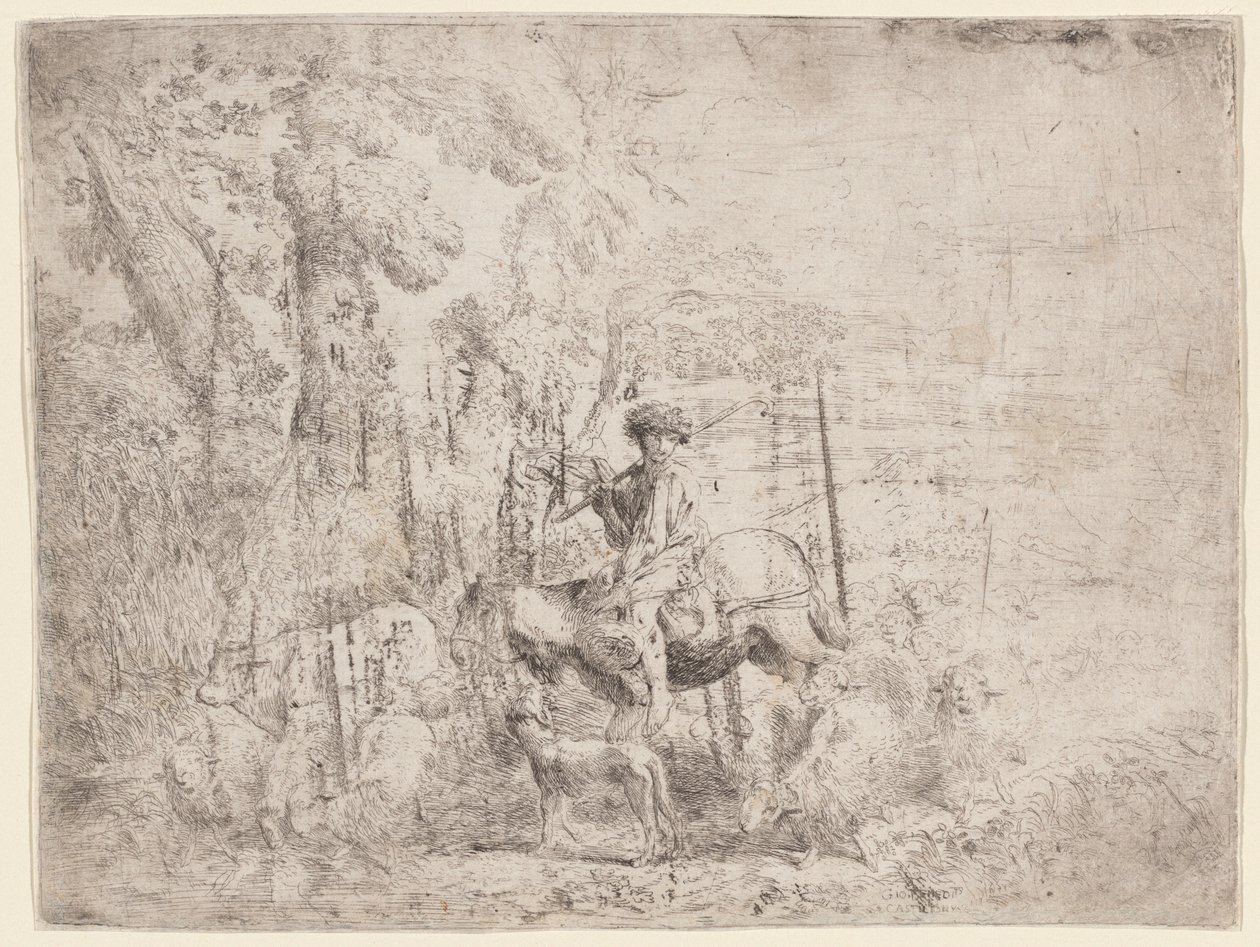 Ung herde till häst av Giovanni Benedetto Castiglione