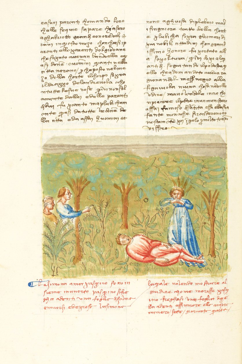 Decameron, Salvia - Pasquinos död , Fjärde dagen, novell 7. av Giovanni Boccaccio