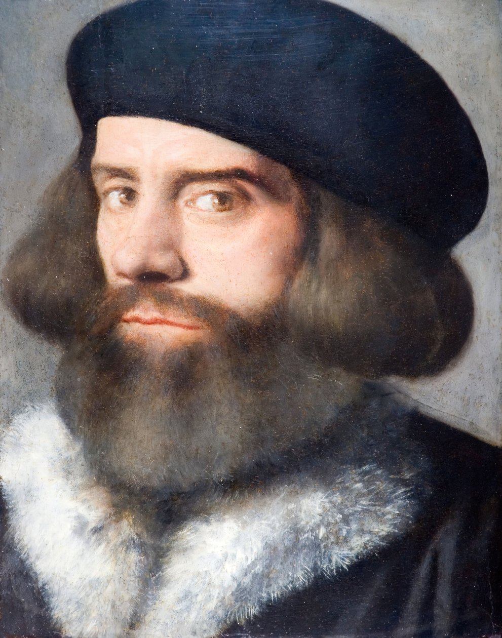 Chef för en skäggig man, 1537. av Giovanni Buonconsiglio
