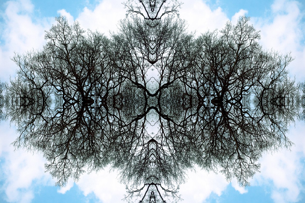 Onaturligt 100 (digitalt manipulerat foto) av Giovanni Cafagna