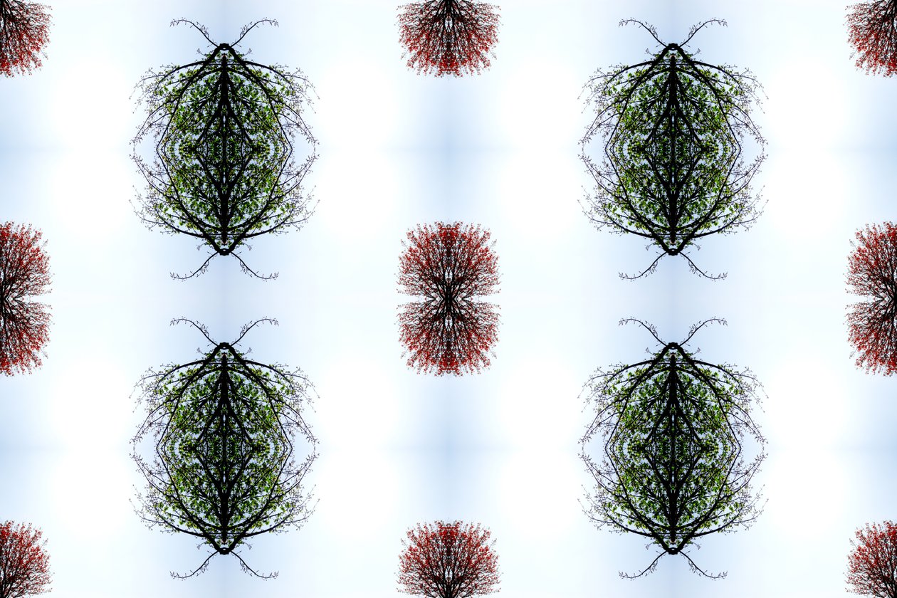 Onaturlig 110 (digitalt manipulerat foto) av Giovanni Cafagna