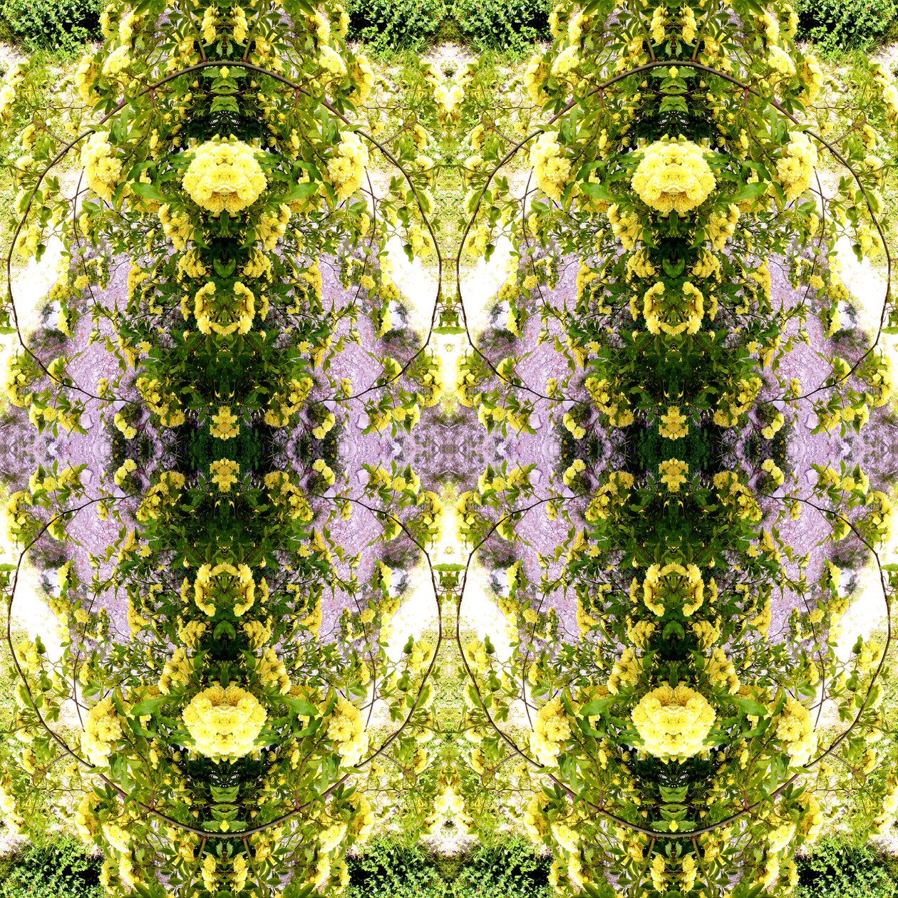 Onaturligt 150 (digitalt manipulerat foto) av Giovanni Cafagna