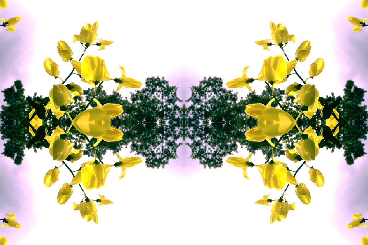 Onaturligt 151.2 (digitalt manipulerat foto) av Giovanni Cafagna