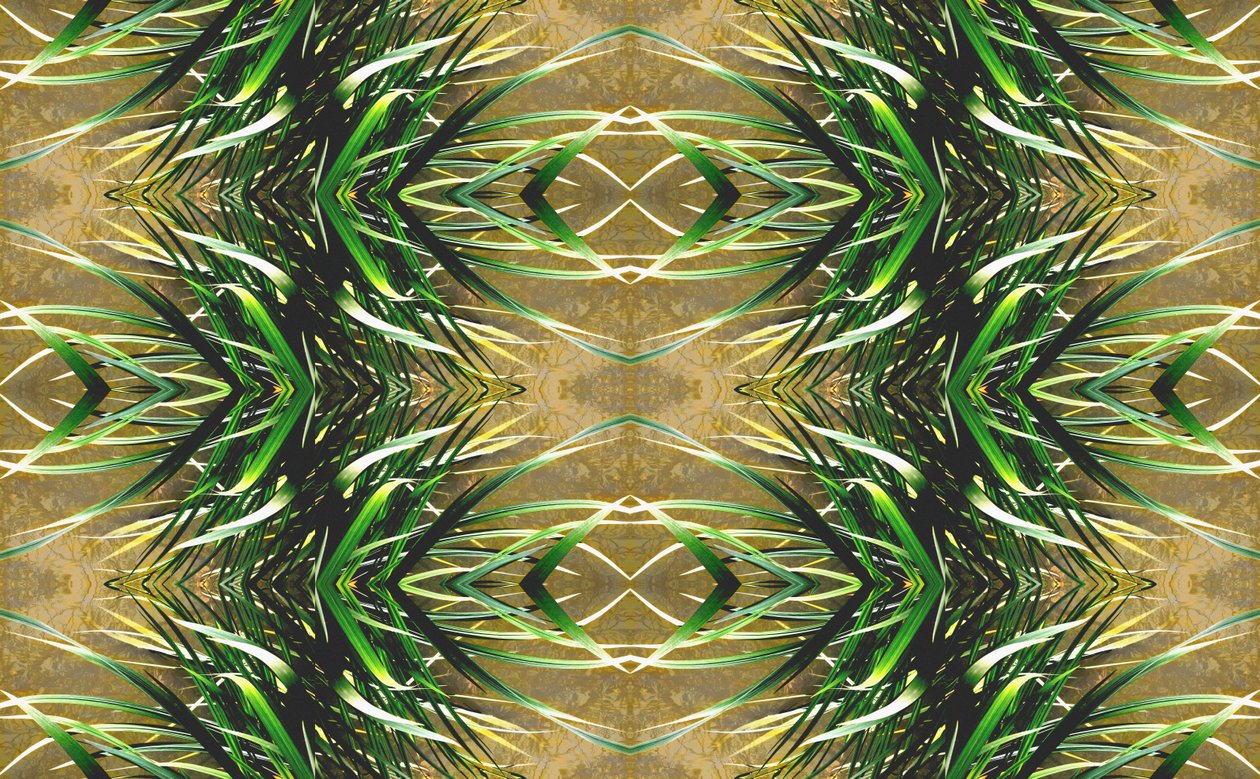Onaturlig 16 (digitalt manipulerat foto) av Giovanni Cafagna