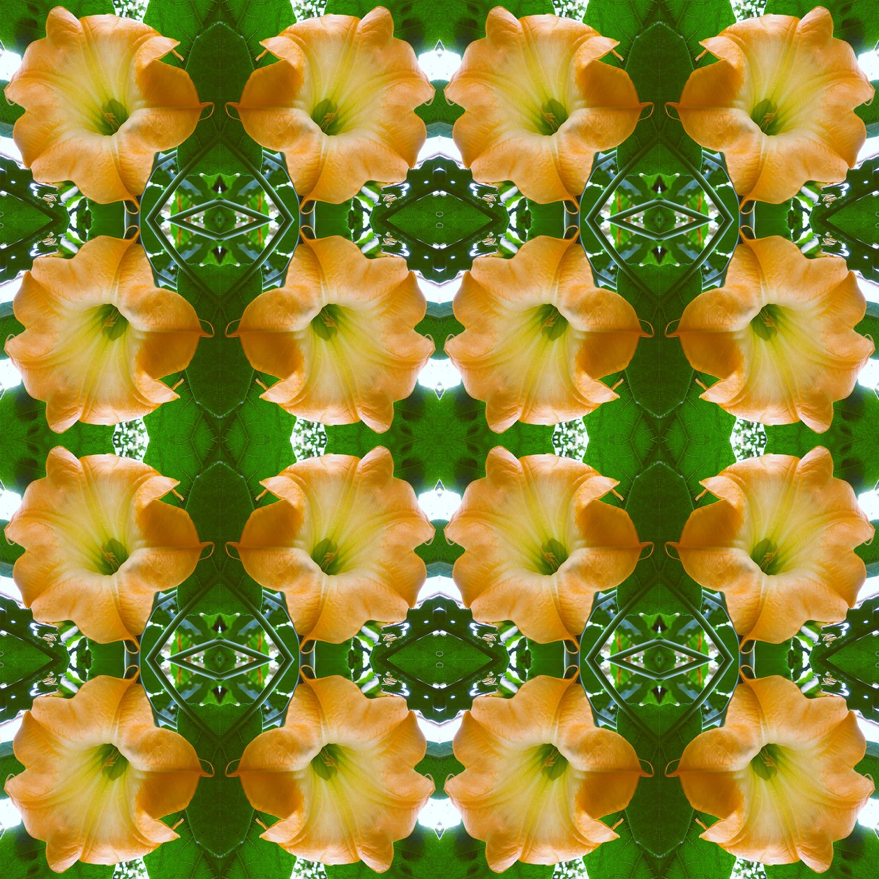 Onaturligt 171.1 (digitalt manipulerat foto) av Giovanni Cafagna