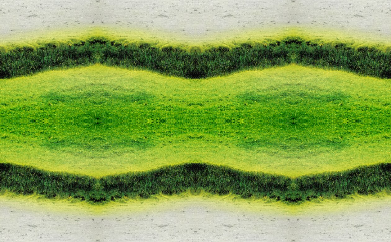 Onaturlig 2.1 (digitalt manipulerat foto) av Giovanni Cafagna