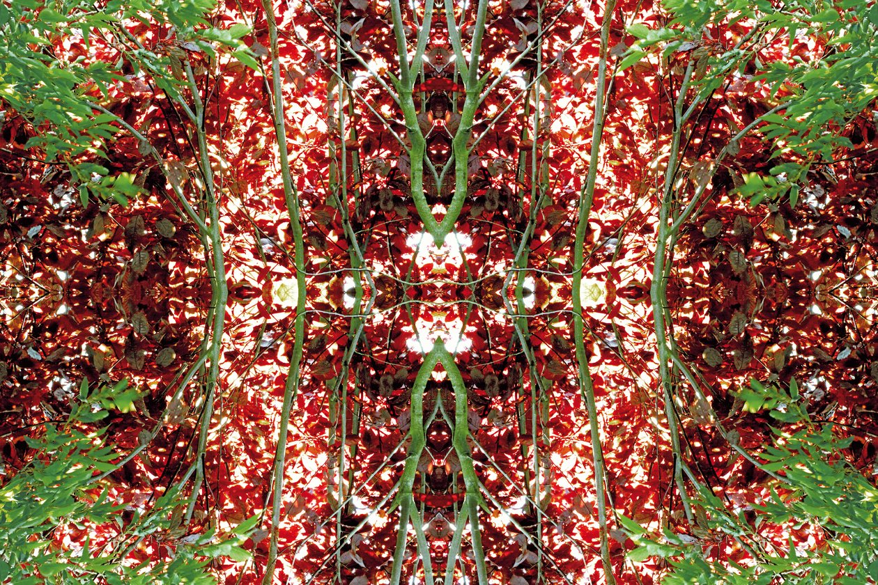 Onaturlig 23 (digitalt manipulerat foto) av Giovanni Cafagna