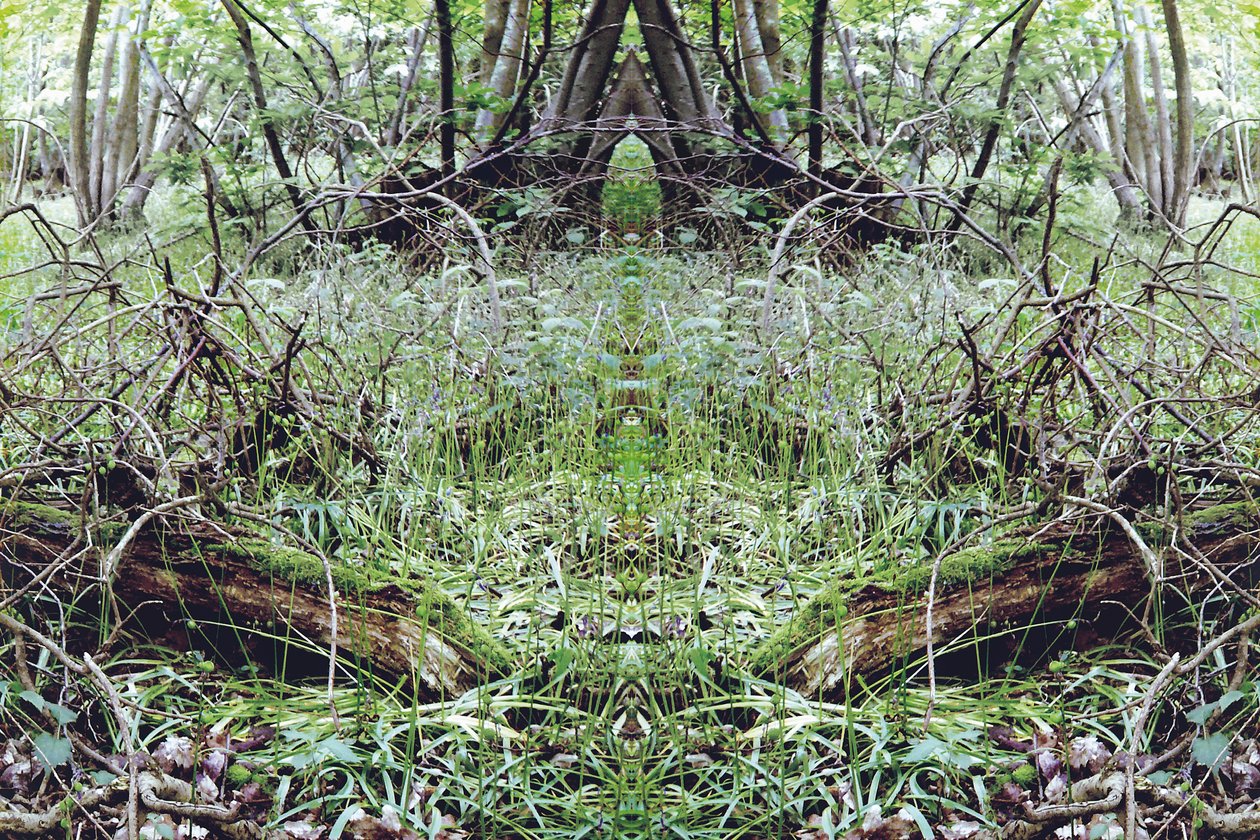 Onaturlig 33 (digitalt manipulerat foto) av Giovanni Cafagna