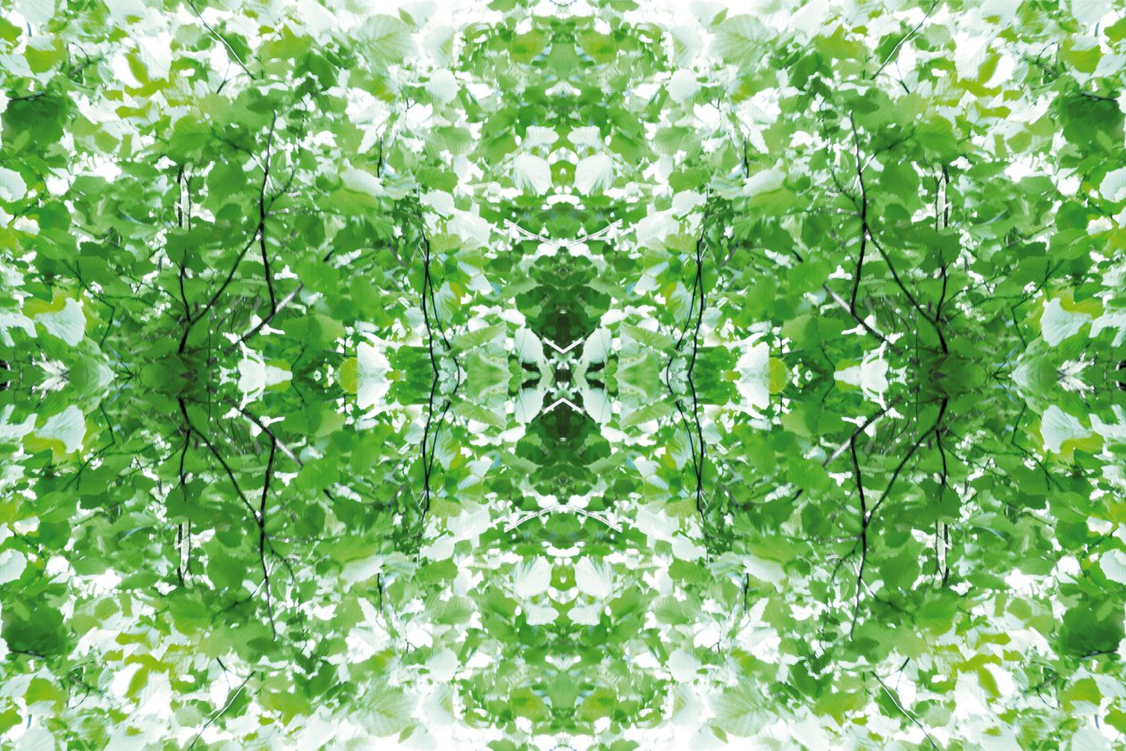 Onaturlig 34 (digitalt manipulerat foto) av Giovanni Cafagna