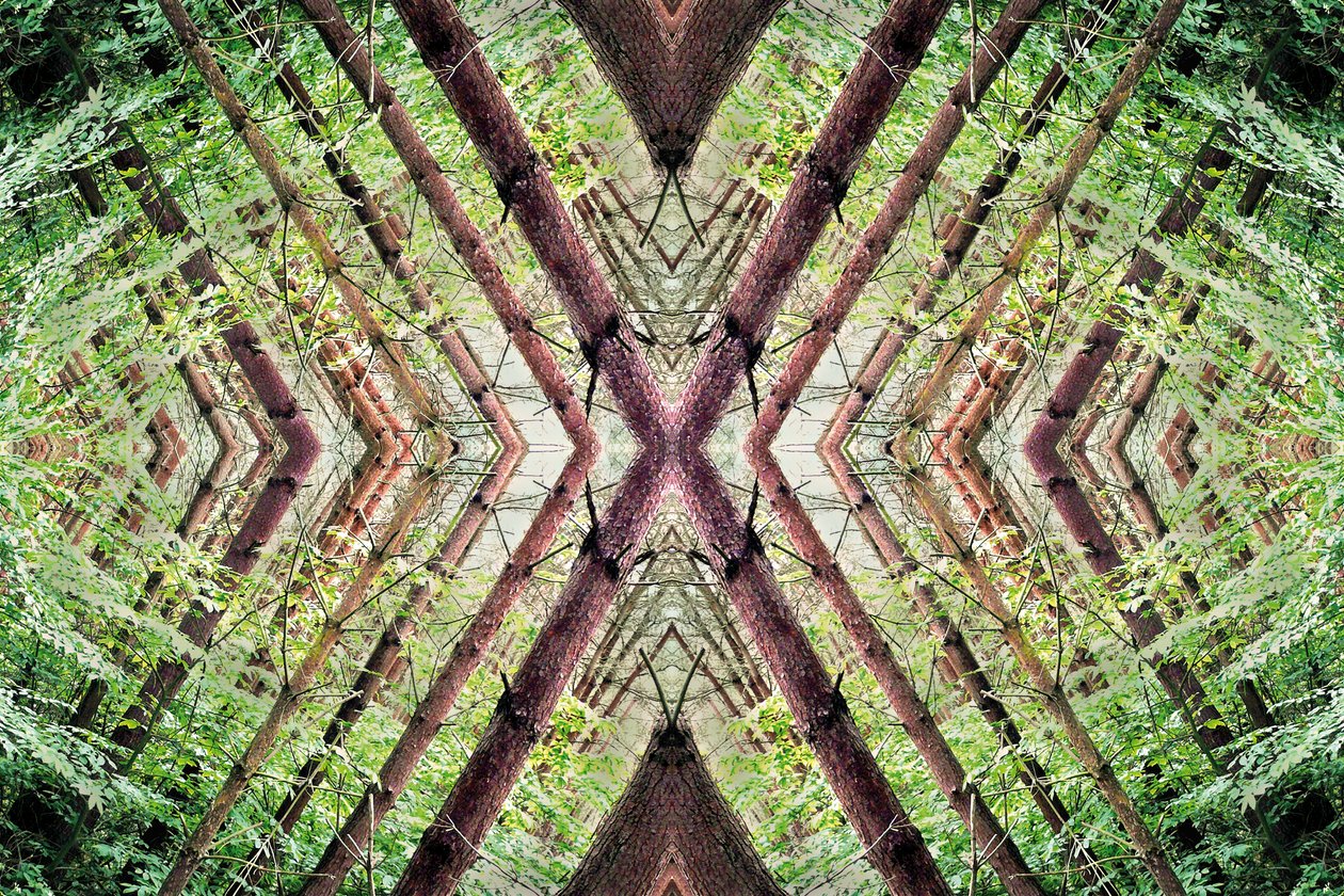 Onaturlig 37 (digitalt manipulerat foto) av Giovanni Cafagna