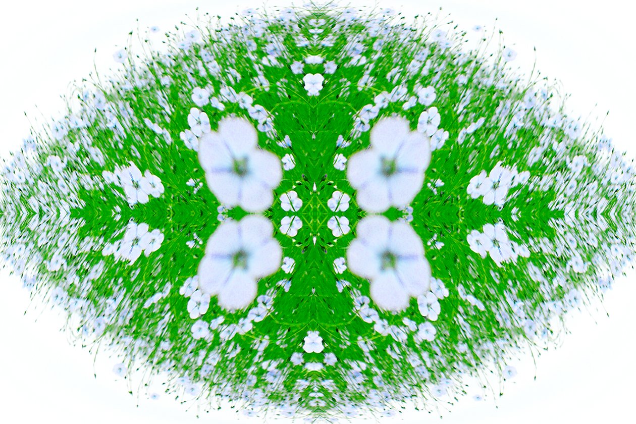 Onaturlig 37 (digitalt manipulerat foto) av Giovanni Cafagna