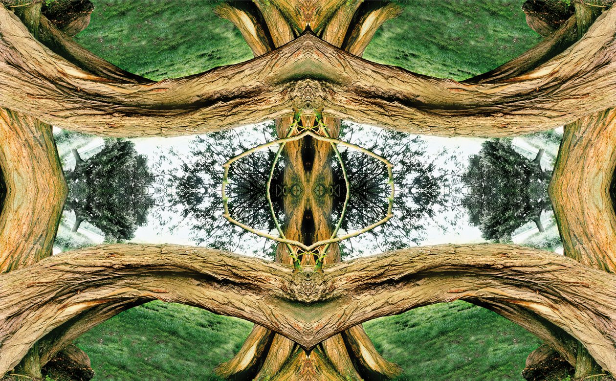 Onaturlig 37 (digitalt manipulerat foto) av Giovanni Cafagna