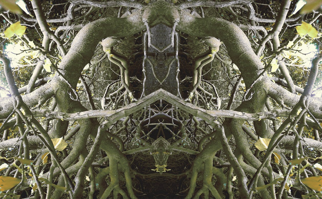 Onaturlig 41 (digitalt manipulerat foto) av Giovanni Cafagna
