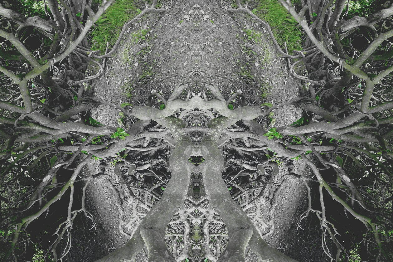 Onaturligt 42 (digitalt manipulerat foto) av Giovanni Cafagna