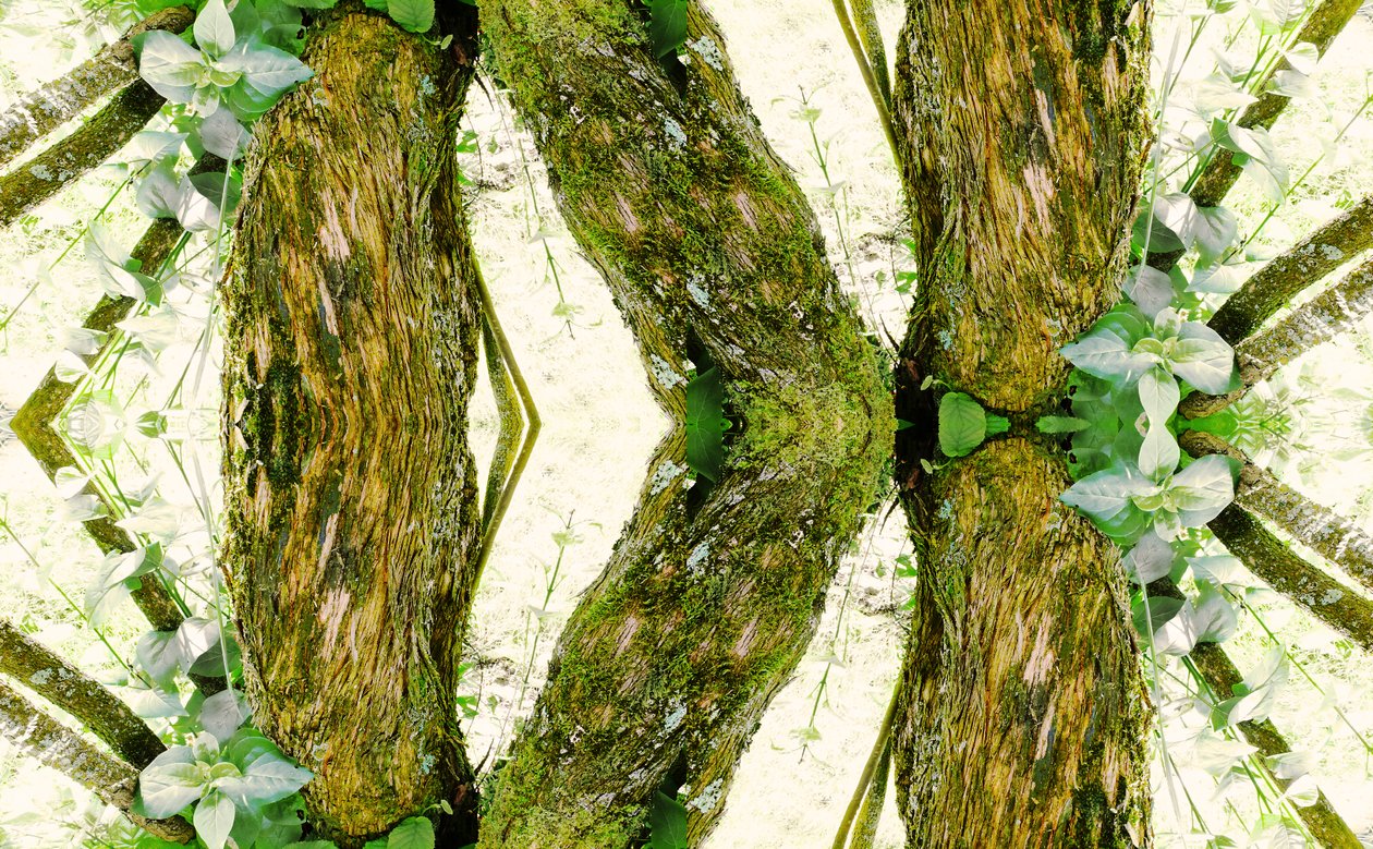 Onaturlig 45 (digitalt manipulerat foto) av Giovanni Cafagna