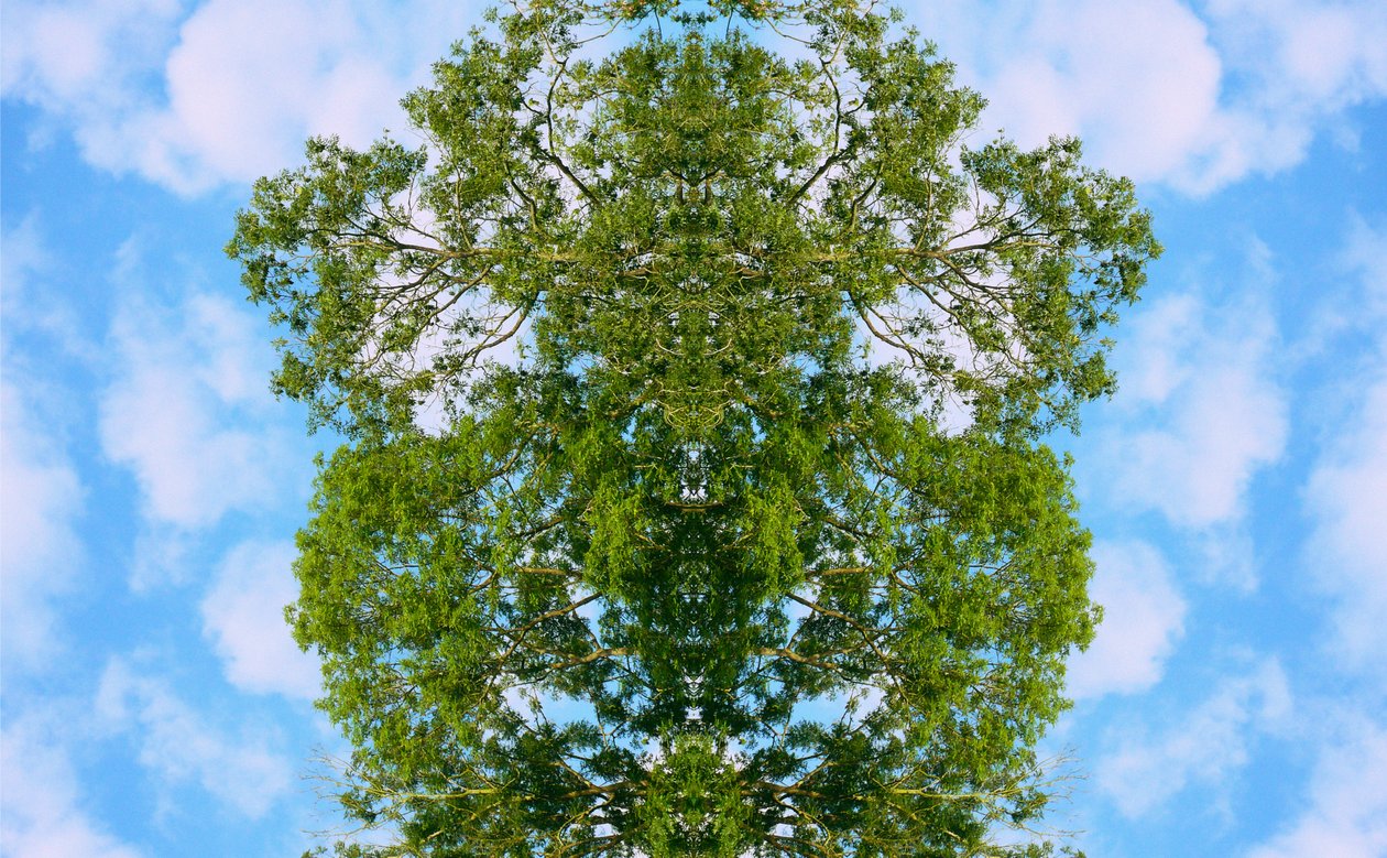 Onaturligt 46 (digitalt manipulerat foto) av Giovanni Cafagna