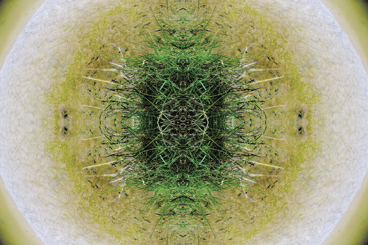 Onaturlig 6.1 (digitalt manipulerat foto) av Giovanni Cafagna
