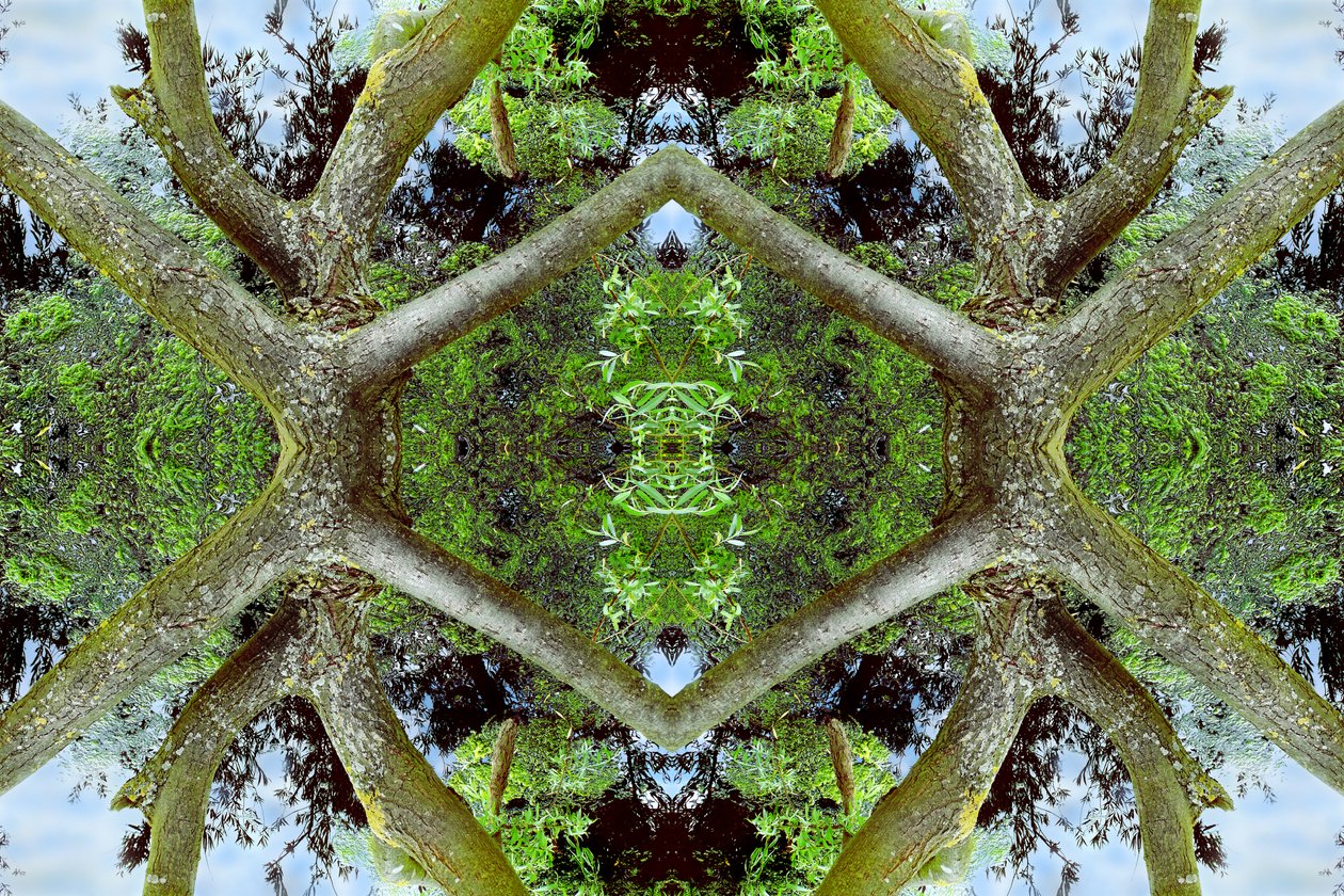 Onaturligt 65.2 (digitalt manipulerat foto) av Giovanni Cafagna