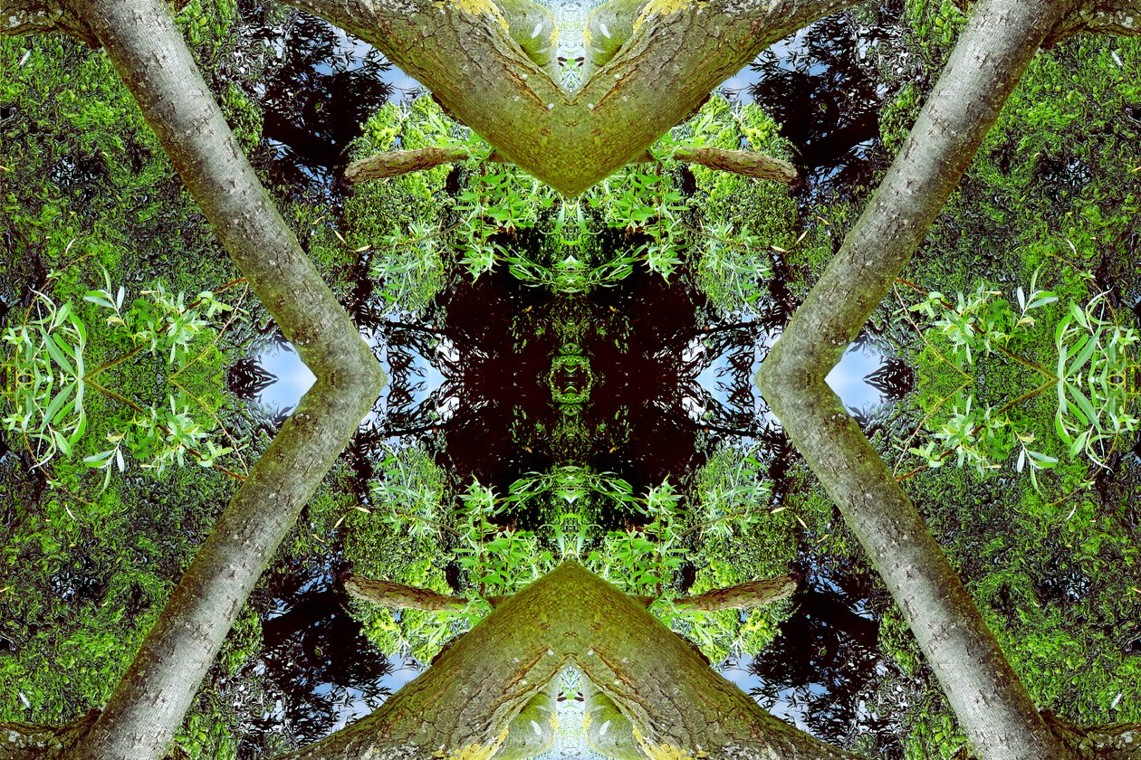 Onaturligt 65.3 (digitalt manipulerat foto) av Giovanni Cafagna