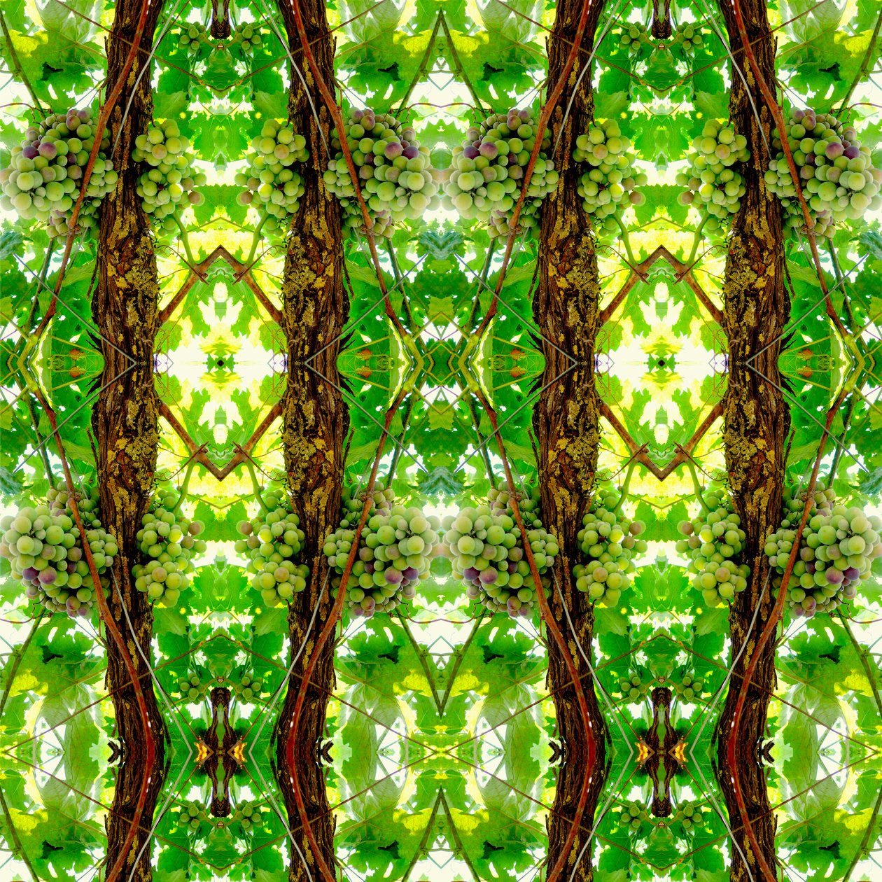 Onaturlig 74 (digitalt manipulerat foto) av Giovanni Cafagna