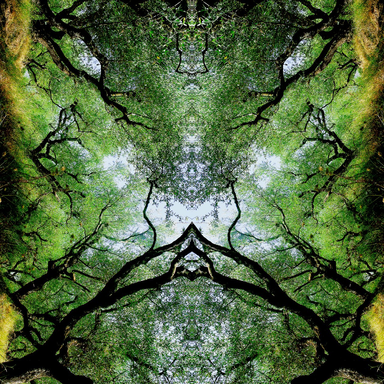 Onaturlig 75 (digitalt manipulerat foto) av Giovanni Cafagna