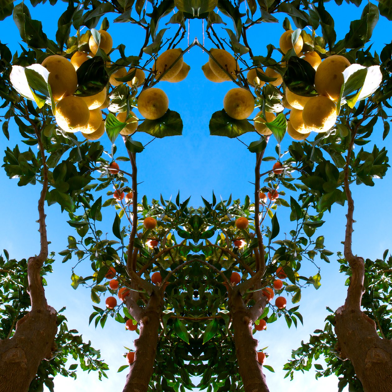 Onaturlig 78 (digitalt manipulerat foto) av Giovanni Cafagna
