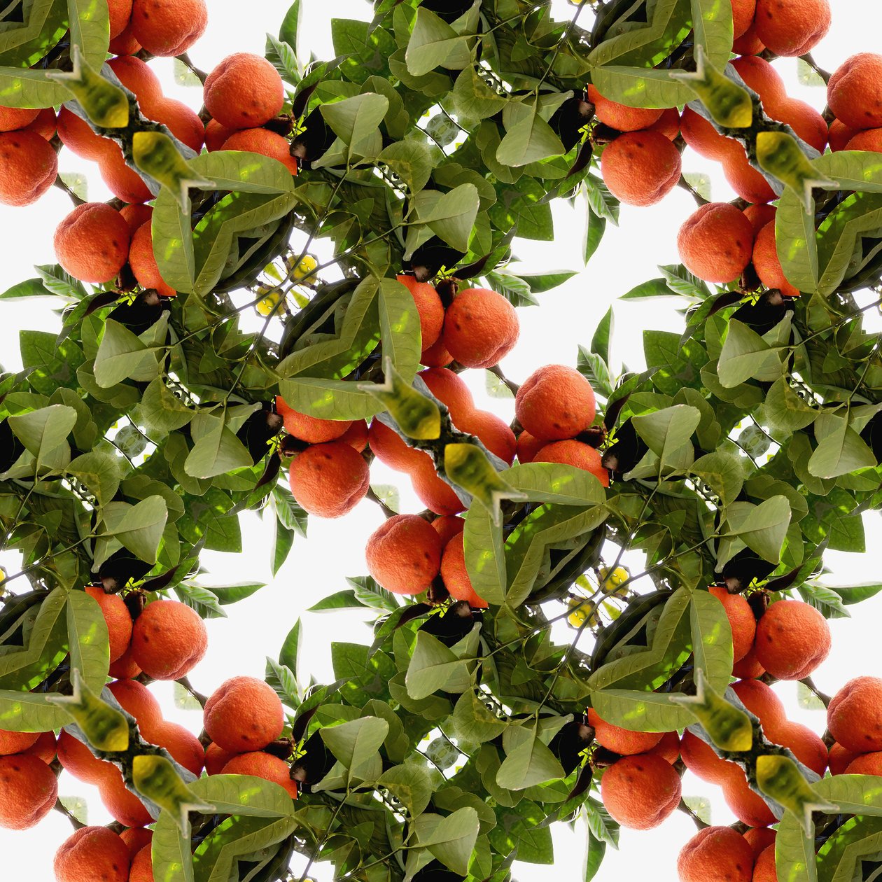 Onaturligt 79 (digitalt manipulerat foto) av Giovanni Cafagna