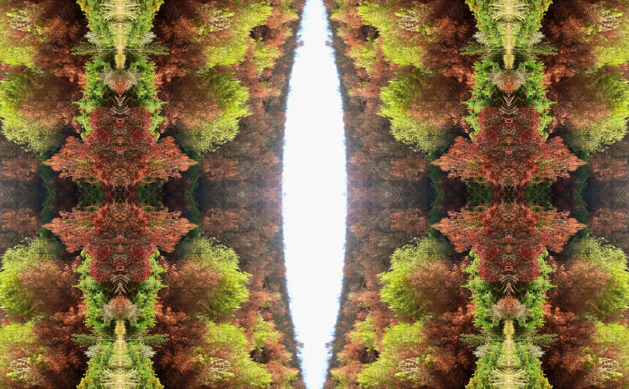 Onaturlig 81 (digitalt manipulerat foto) av Giovanni Cafagna