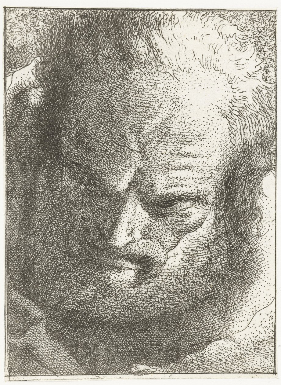 Man tittar ner Samling av huvuden (serietitel) Raccolta di Teste (serietitel) av Giovanni Domenico Tiepolo