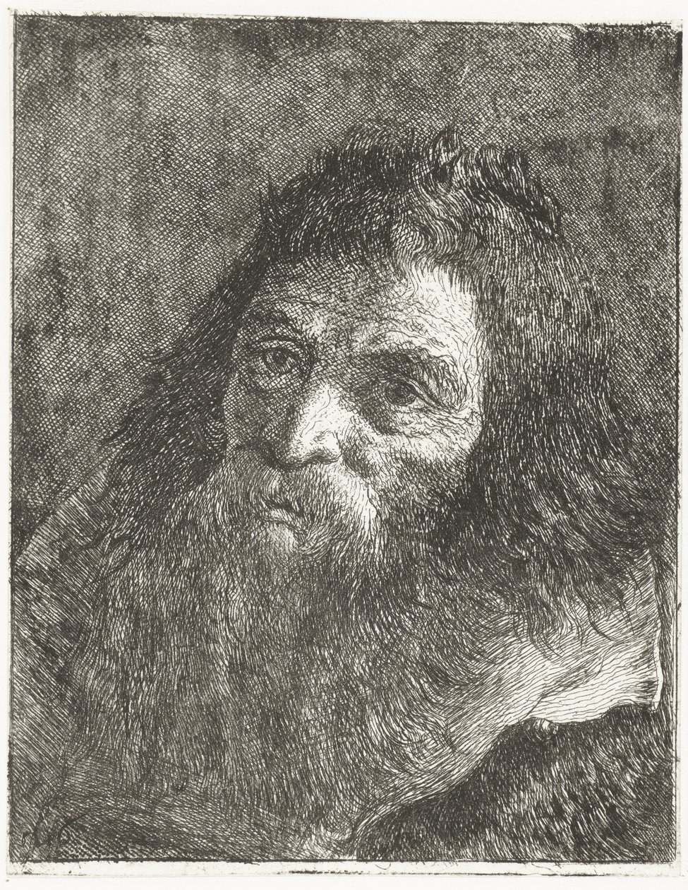 Man med långt hår och skägg av Giovanni Domenico Tiepolo