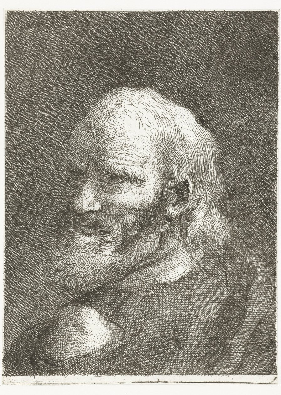 Man med bara axel Samling av huvuden (serietitel) Raccolta di Teste (serietitel) av Giovanni Domenico Tiepolo